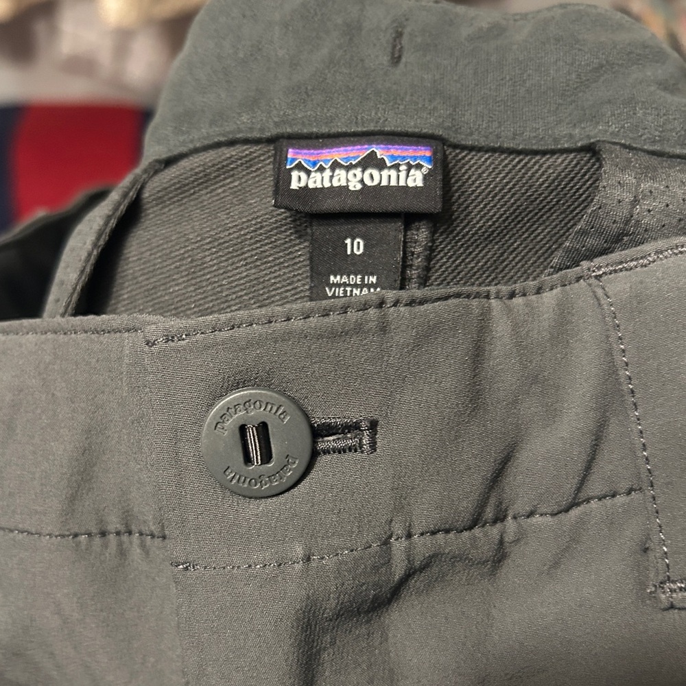 Patagonia Women's Crestview Pants - Regular